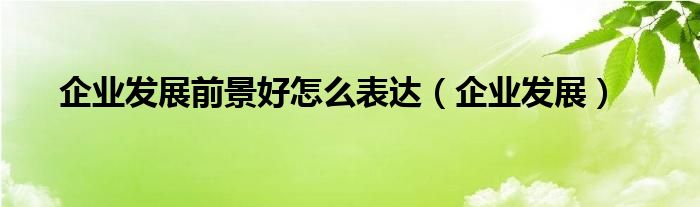 企业发展(企业发展前景好怎么表达)