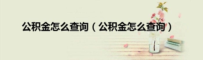 公积金怎么查询(公积金怎么查询)