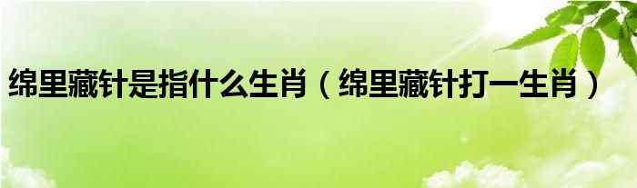 绵里藏针打一生肖(绵里藏针是指什么生肖)