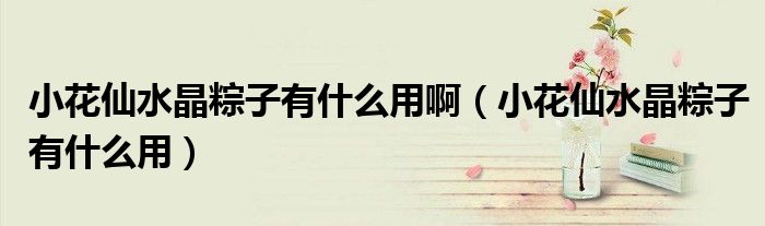 小花仙水晶粽子有什么用(小花仙水晶粽子有什么用啊)