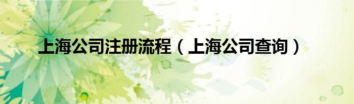 上海公司查询(上海公司注册流程)