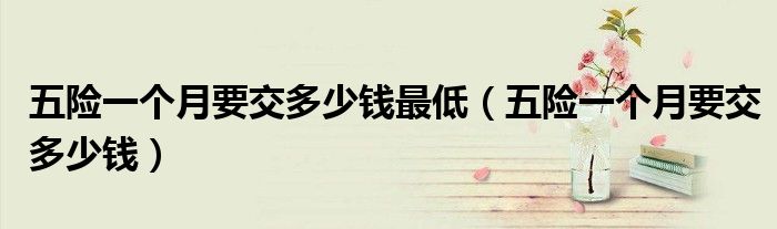 五险一个月要交多少钱(五险一个月要交多少钱最低)