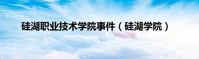 硅湖学院(硅湖职业技术学院事件)