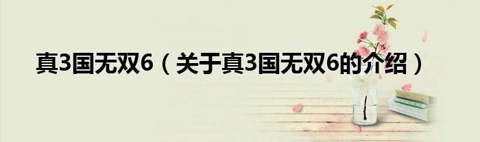 关于真3国无双6的介绍(真3国无双6)