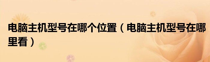 电脑主机型号在哪里看(电脑主机型号在哪个位置)