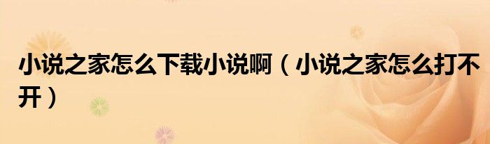 小说之家怎么打不开(小说之家怎么下载小说啊)