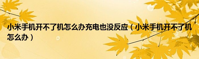 小米手机开不了机怎么办(小米手机开不了机怎么办充电也没反应)