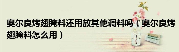 奥尔良烤翅腌料怎么用(奥尔良烤翅腌料还用放其他调料吗)