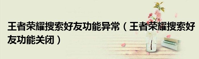 王者荣耀搜索好友功能关闭(王者荣耀搜索好友功能异常)