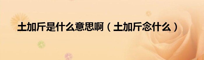 土加斤念什么(土加斤是什么意思啊)