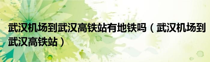 武汉机场到武汉高铁站(武汉机场到武汉高铁站有地铁吗)