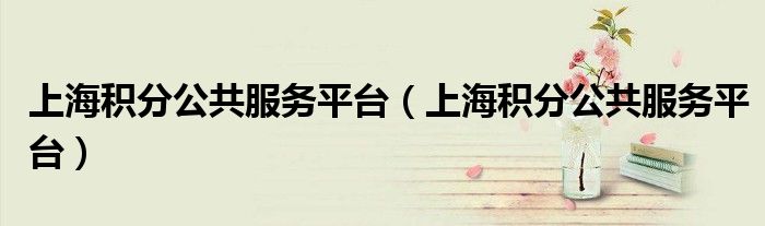 上海积分公共服务平台(上海积分公共服务平台)