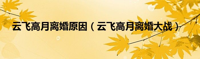 云飞高月离婚大战(云飞高月离婚原因)