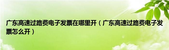 广东高速过路费电子发票怎么开(广东高速过路费电子发票在哪里开)