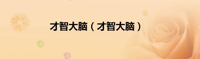 才智大脑(才智大脑)