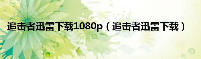 追击者迅雷下载(追击者迅雷下载1080p)