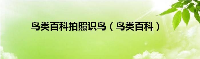 鸟类百科(鸟类百科拍照识鸟)
