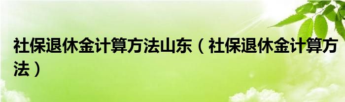 社保退休金计算方法(社保退休金计算方法山东)