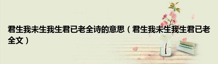 君生我未生我生君已老全文(君生我未生我生君已老全诗的意思)