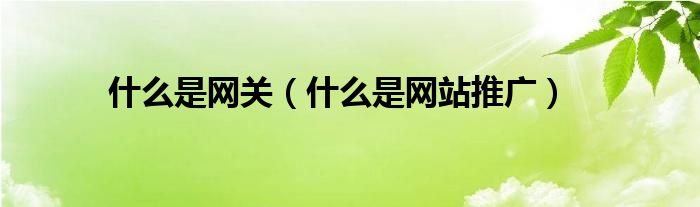 什么是网站推广(什么是网关)