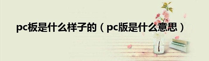 pc版是什么意思(pc板是什么样子的)