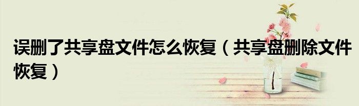 共享盘删除文件恢复(误删了共享盘文件怎么恢复)