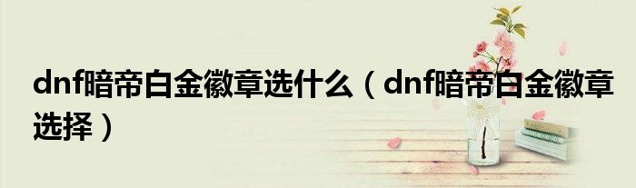 dnf暗帝白金徽章选择(dnf暗帝白金徽章选什么)