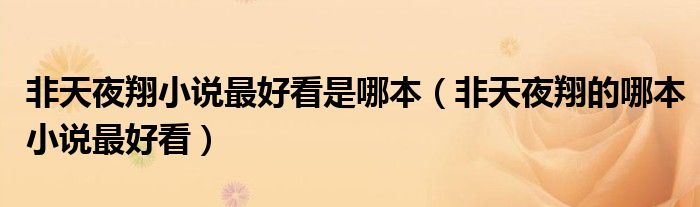 非天夜翔的哪本小说最好看(非天夜翔小说最好看是哪本)