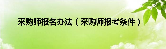 采购师报考条件(采购师报名办法)