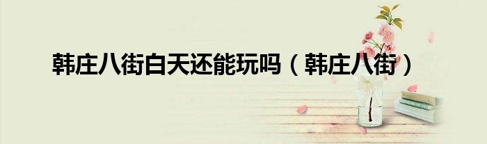 韩庄八街(韩庄八街白天还能玩吗)