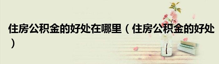 住房公积金的好处(住房公积金的好处在哪里)