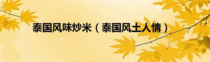 泰国风土人情(泰国风味炒米)