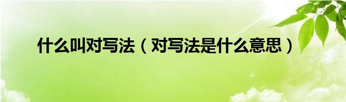 对写法是什么意思(什么叫对写法)