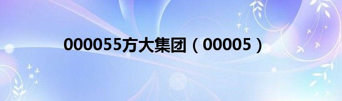 00005(000055方大集团)