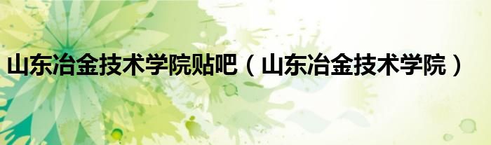 山东冶金技术学院(山东冶金技术学院贴吧)