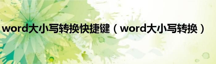 word大小写转换(word大小写转换快捷键)