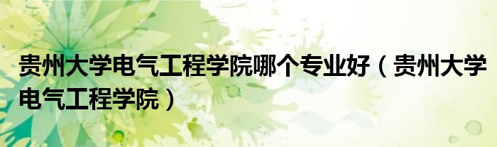 贵州大学电气工程学院(贵州大学电气工程学院哪个专业好)