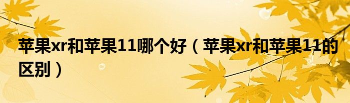 苹果xr和苹果11的区别(苹果xr和苹果11哪个好)
