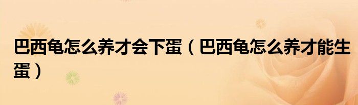 巴西龟怎么养才能生蛋(巴西龟怎么养才会下蛋)
