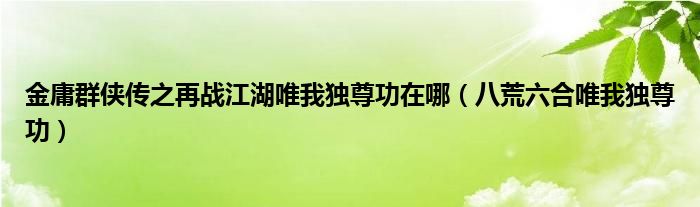 八荒六合唯我独尊功(金庸群侠传之再战江湖唯我独尊功在哪)