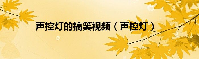 声控灯(声控灯的搞笑视频)