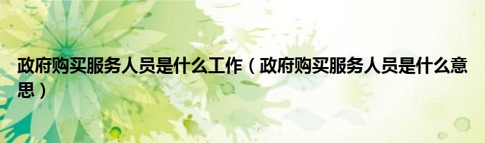 政府购买服务人员是什么意思(政府购买服务人员是什么工作)