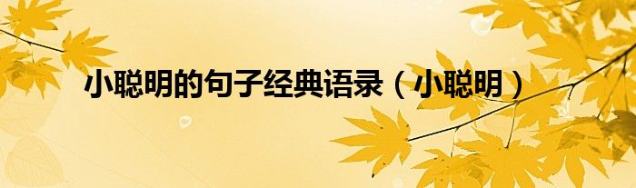 小聪明(小聪明的句子经典语录)