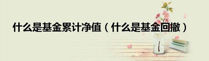 什么是基金回撤(什么是基金累计净值)
