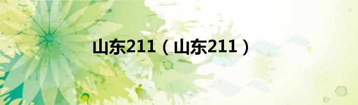 山东211(山东211)