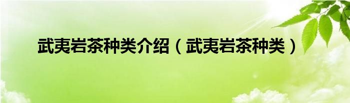 武夷岩茶种类(武夷岩茶种类介绍)