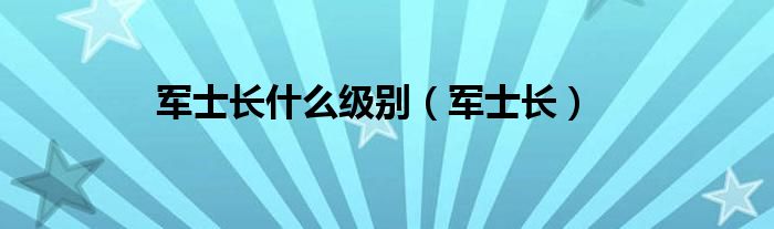 军士长(军士长什么级别)