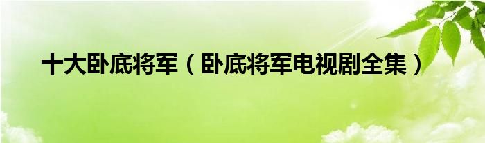 卧底将军电视剧全集(十大卧底将军)
