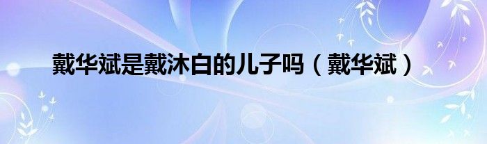 戴华斌(戴华斌是戴沐白的儿子吗)