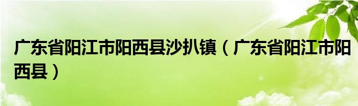 广东省阳江市阳西县(广东省阳江市阳西县沙扒镇)